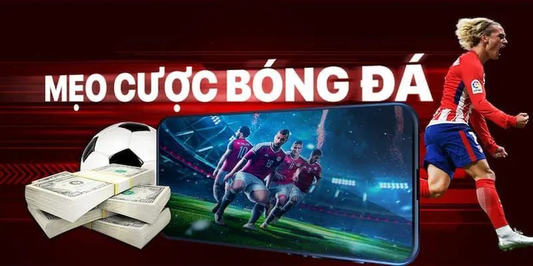 Khám Phá Cá Cược Bóng Đá Xoso66: Hành Trình Thắng Lợi