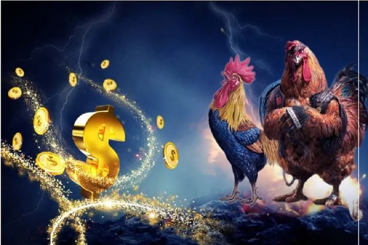 Hướng Dẫn Chơi Đá Gà WS168 Tại Xoso66: Trải Nghiệm Trận Đấu Kịch Tính