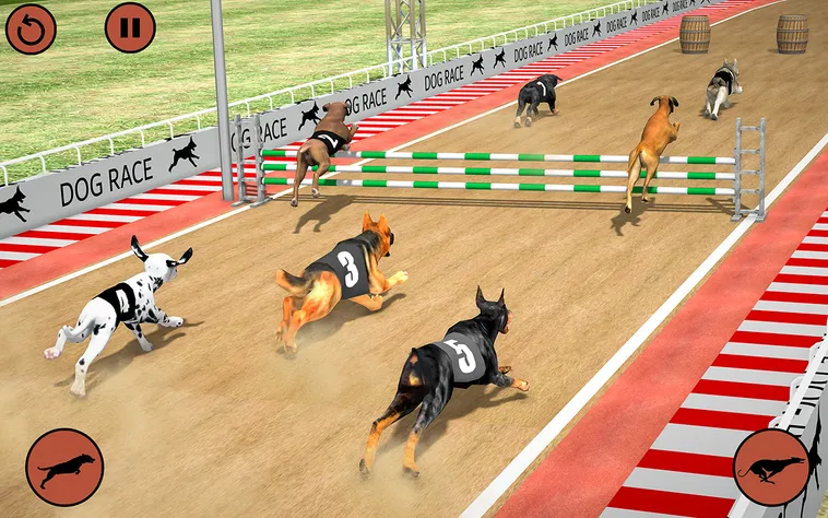 Bí Quyết Thắng Lớn Game Nhanh Đua Chó Tại Xoso66