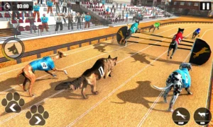 Bí Quyết Thắng Lớn Game Nhanh Đua Chó Tại Xoso66